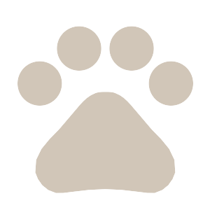 Icono de la ventaja 1